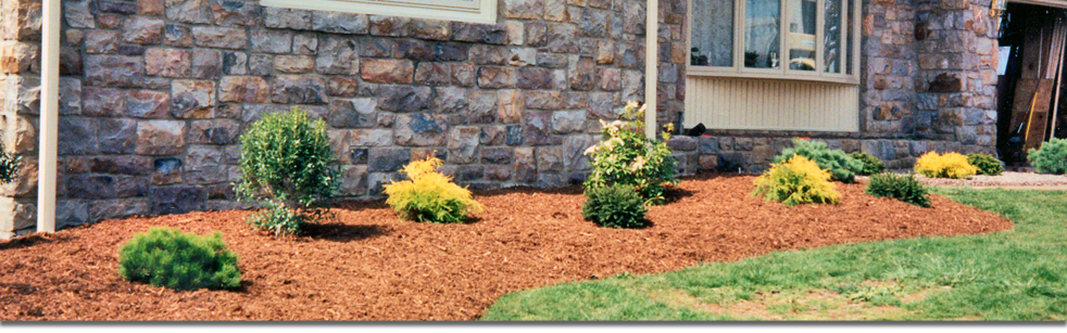 yard with mulch
