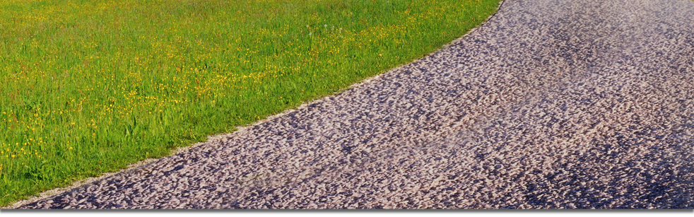 pathway of gravel and sand