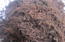 Hardwood fines mulch